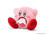 ̃J[rB@[y[p[z_[i݁j y864z