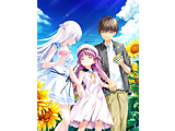 TV Aj wSummer PocketsxBlu-ray BOX 