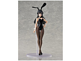KADOKAWA PLASTIC MODEL SERIES �u�t�u�^��Y�v�V���[�Y �������� �y�X�������i�z