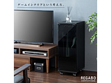 REGABO PS5 PROΉbN [REGABOPS5PRO]