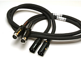 XLRP[uiyAE1.0mj@XLR1.0TRIPLE-C-FM