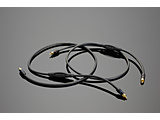 3.0m RCA�P�[�u���i�y�A�j Link (Generation 6)  TL10-G6 �m3.0m�n