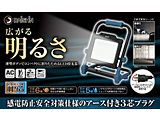 DAISHIN RZg^LED100W DFL-A100