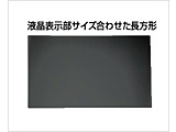 10.9�C���` iPad Air �c�p �R�ہE�R�E�C���X�`�����h�~�t�B���^�[   LNAV-109IPADAH