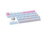 �k�L�[�L���b�v�l�v���~�A�� PBT �L�[�L���b�v�ƃ_�C�����Z�b�g ���{��z�� (QWERTY) ���������ȍ~���׎��您�͂�