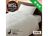 �����|���H�ѕz�c PM480-A [���C�h�V���O��(�Z�~�_�u��)�����O(170×230cm) /�t�E�H�p /�|�[�����h�Y�z���C�g�}�U�[�O�[�X�_�E��95�� /���{��]   PM-480-A �m���C�h�V���O�������O(170×230cm)�n �y�L�����Z���s�z