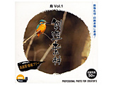 nf  Vol.1