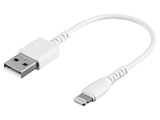 LightningP[u 0.1m zCg BSMPCL201WH