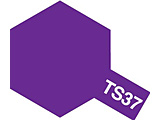 ＴＳ－３７　ラベンダー