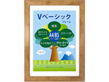 Vx[VbNt[ A4^B5 VF-A4B5-NL i`