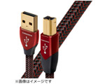 USBケーブル USB2/CIN/0.75M