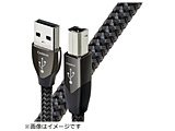 USBP[u I[fBINGXg  USB2/CAR/1.5M