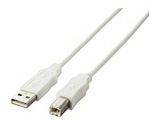 �y�݌Ɍ���z 1.0m USB2.0�P�[�u�� �yA�z�́yB�z [�G�R�^�C�v] �i�z���C�g�j USB2-ECO10WH [EU RoHS�w�ߏ���]