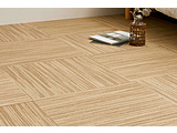 �^�C���J�[�y�b�g�@�X�N�G�A4200�@�X�Y�J�X���@��50×50cm�@�����R