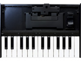 ~jEL[{[h Roland Boutique  K-25M m25Ձn
