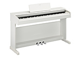 dqsAm ARIUS zCgEbhdグ YDP-145WH m88Ձn ẑ