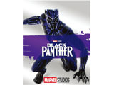 �u���b�N�p���T�[ MovieNEX �y�u���[���C+DVD�z BD