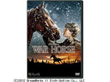 ��΂̔n DVD