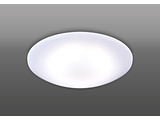 LED�V�[�����O�Ɩ� �����^�C�v�@12���  RD12937 �m12�� /�����F /�����R���t�� /�d�C�H���s�v�n