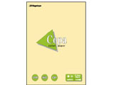 �i-2303 �J���[�y�[�p�[Copa�i�R�p�j���� B4 �N���[�� 100��