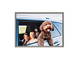 �A�~�l�I�E�O�����f A4 �O���[  �O���[ AAG-A4-GRY