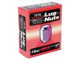 Lug NutsV[Y  LugNut 16PCS 101S-16P