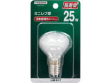 R451725L�@�~�j���t��25W ������