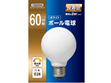 {[d60W`zCg  70@GW100/110V57W70LYZ@E26    mE26 /dF /1 /60W /{[d`n