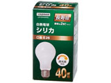 �������V���J�d���i40W�`�E����E26�jLW100V40WWL