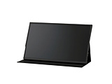 USB-C�ڑ� ���o�C�����j�^�[ LUCA �u���b�N DP-EF164S-B �m15.6�^ /�t��HD(1920×1080) /���C�h /60Hz�n