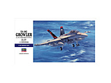 1/72 EA-18G �O���E���[