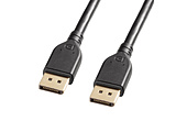 KC-DP4020 DisplayPortP[u Ver2.1 DP40F ubN m2mn
