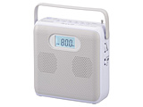 AM/FMXeICDWI AudioComm CgO[ RCR-600Z-H mChFMΉn