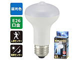 LED�d�� �l�����ÃZ���T�[�t   LDR7D-W/S9 �mE26 /���t�����v�` /60W���� /�����F /1�� /�������^�C�v�n