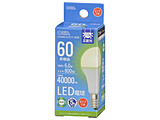LED�d��   LDA6N-G-E17AG6 �mE17 /��ʓd���` /60W���� /�����F /1�� /�L�z���^�C�v�n