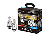 BW904 GIGA LED�w�b�h�o���u D10 6000K D4S