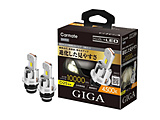 BW905 GIGA LED�w�b�h�o���u D10 4500K D2S