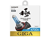 BD1130 GA[4700K H11 55W