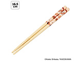 |S16D5cm@pǂڂ