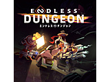 ENDLESS Dungeon Last Wish Edition yPS5Q[\tgz