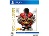 �k���Õi�l �X�g���[�g�t�@�C�^�[V Best Price