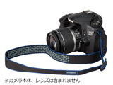 e[p[hXgbv25 (lCr[)KST-60TP25NV