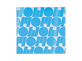 ������P�[�X [W295×H285mm] ito/oshi(�C�g�I�V) �X�J�C�u���[ FL-300CF