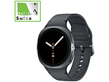 X}[gEHb` Galaxy Watch8 40mm  Graphite SML320NDAJXJP