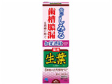 生葉知覚過敏症状予防タイプ 100g〔歯磨き粉〕
