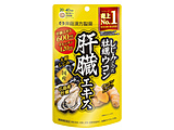 䓡 ݂̓yEȒGLX 20~40 120