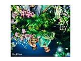 King �� Prince/ Waltz for Lily ��������A�iDVD�t�j
