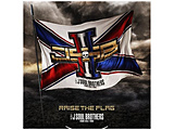 �O��� J SOUL BROTHERS from EXILE TRIBE/ RAISE THE FLAG �ʏ�ՁiDVD�t�j