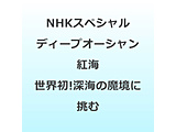NHK�X�y�V���� �f�B�[�v�I�[�V���� �g�C ���E���I�[�C�̖����ɒ���