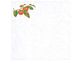 �p�� �Ɩ��p �l�G�ϖ��V���i���j�`�i100�����jyamaco65012